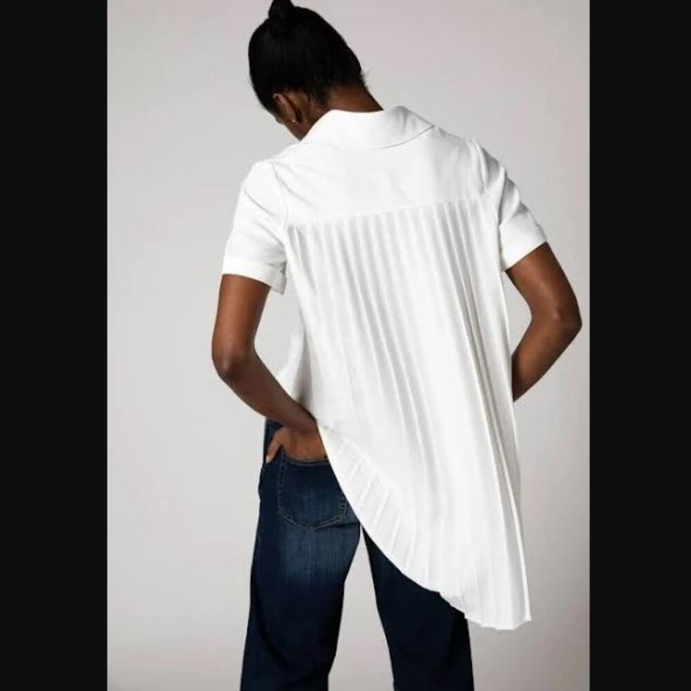 Ruti look in the back pleated blouse